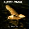 Babord Amures CD 3